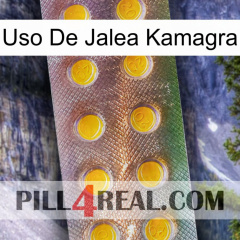 Kamagra Jelly Use new11